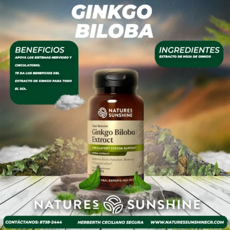 Ginko Biloba