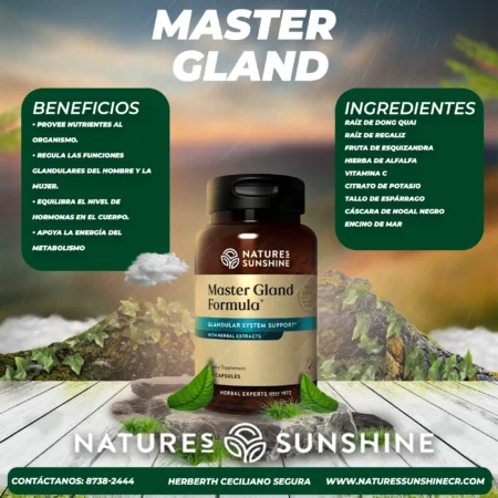 Master Gland