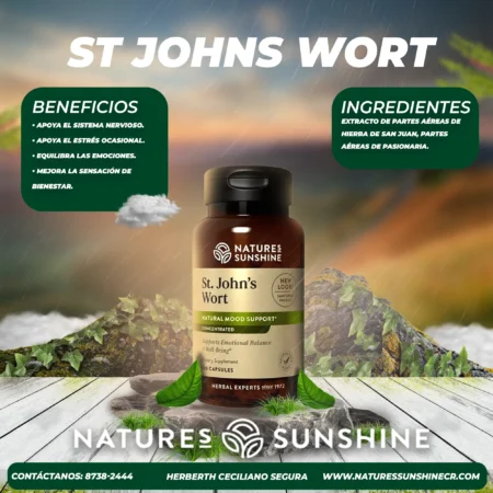 St Johns Wort