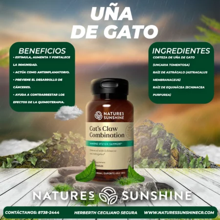 Uña de gato