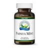 Papaya Menta - Image 2