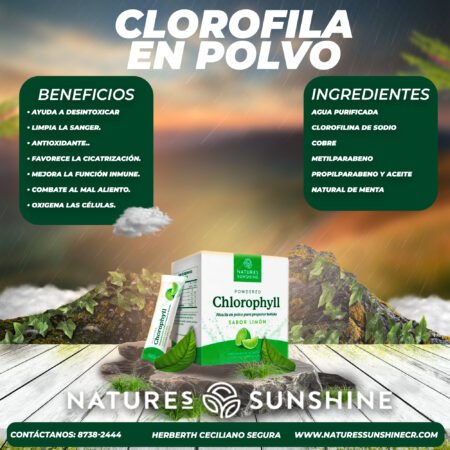 Clorofila en polvo En Costa Rica
