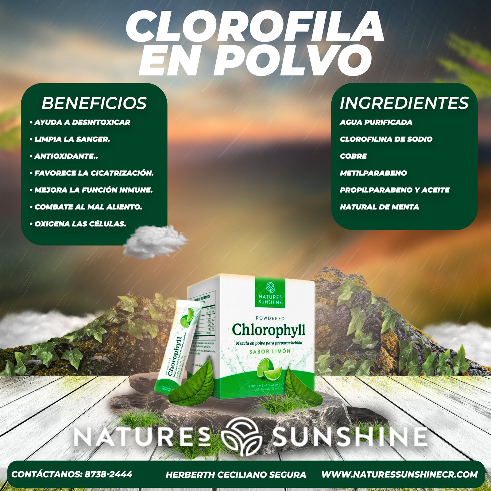 Clorofila en polvo En Costa Rica