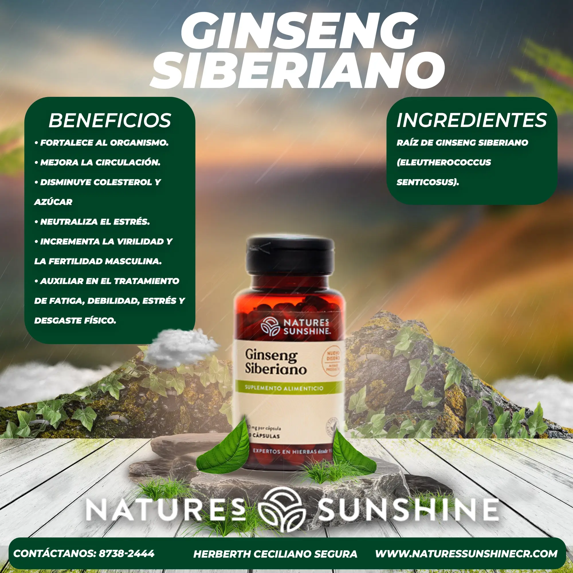 Ginseng Siberiano en Costa Rica