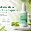 Beneficios de la clorofila líquida